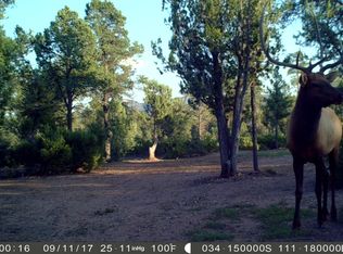 1213 N Heather Cir, Payson, AZ 85541