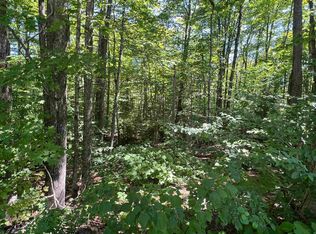 72 Buckboard Dr #DW061, West Dover, VT 05356