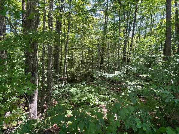 72 Buckboard Drive #DW061, Dover, VT 05356