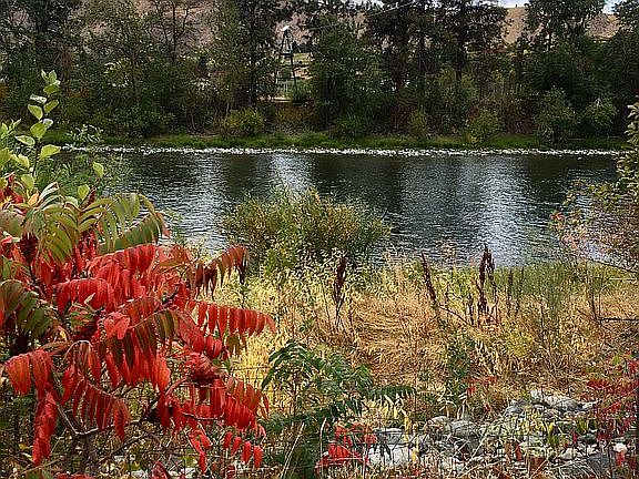 River View from Property