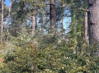 0 198th Pl, Long Beach, WA 98631