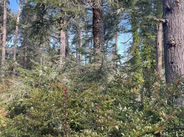 0 198th Place, Long Beach, WA 98631