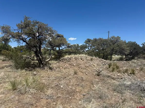 0 Kiowa Trail, South Fork, CO 81154