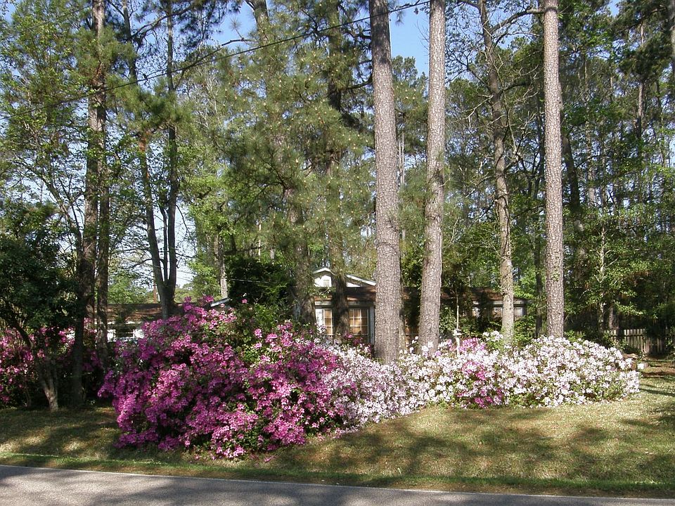 VIEW FROM STREET