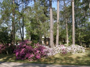 601 Navajo St, Montgomery, TX 77316