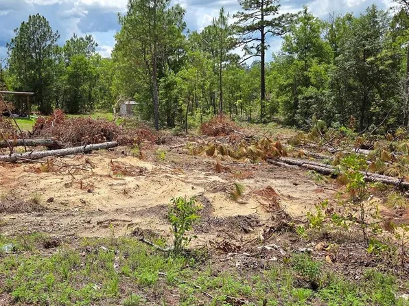 tbd NE 14TH PLACE LOT 7, WILLISTON, FL 32696