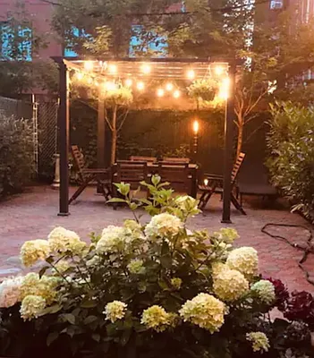 Rented by Douglas Elliman | media 10