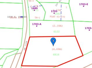 0 Parkertown Rd, Four Oaks, NC 27524