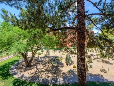 12212 N Paradise Village Pkwy S APT 323, Phoenix, AZ, 85032