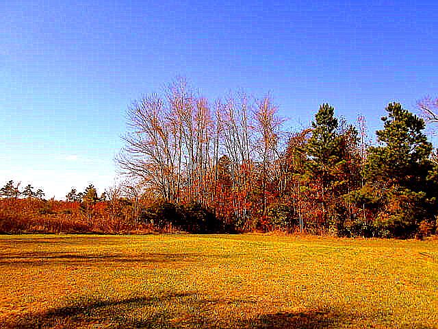 2nd image of 0 Vantage Ln