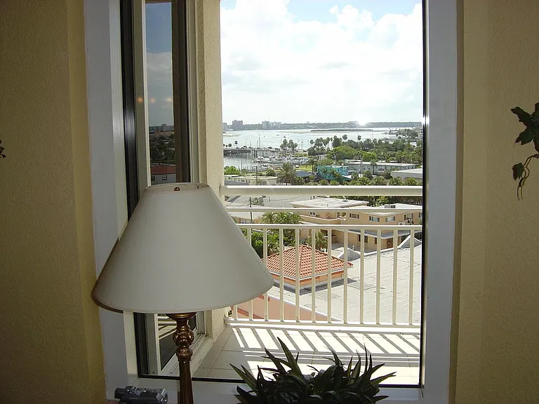 Window view in the living room.