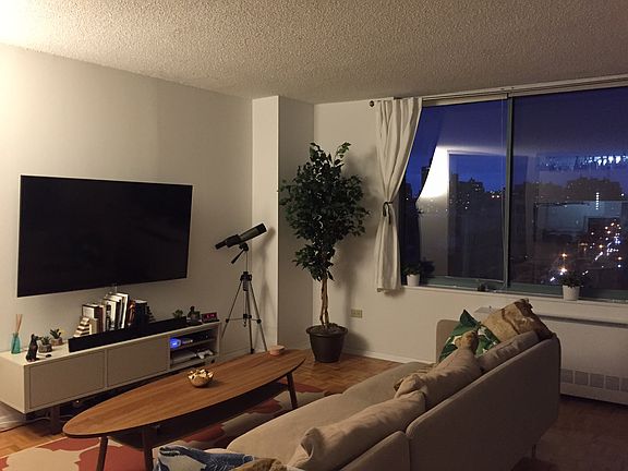 4th image of 250 E Houston St APT 8G