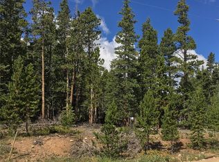 1589 Bobcat Ln, Fairplay, CO 80440