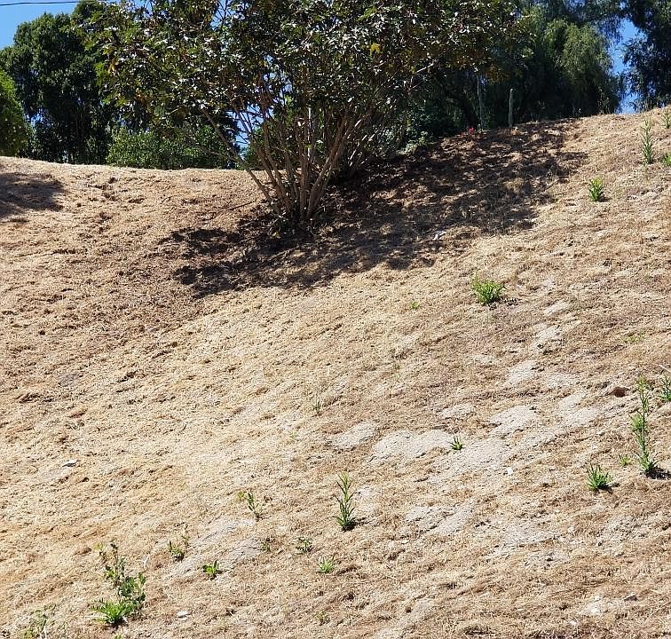 1st image of 5040 La Calandria Way