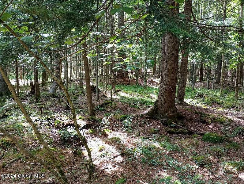 5th image of L59 Antler Lake Road