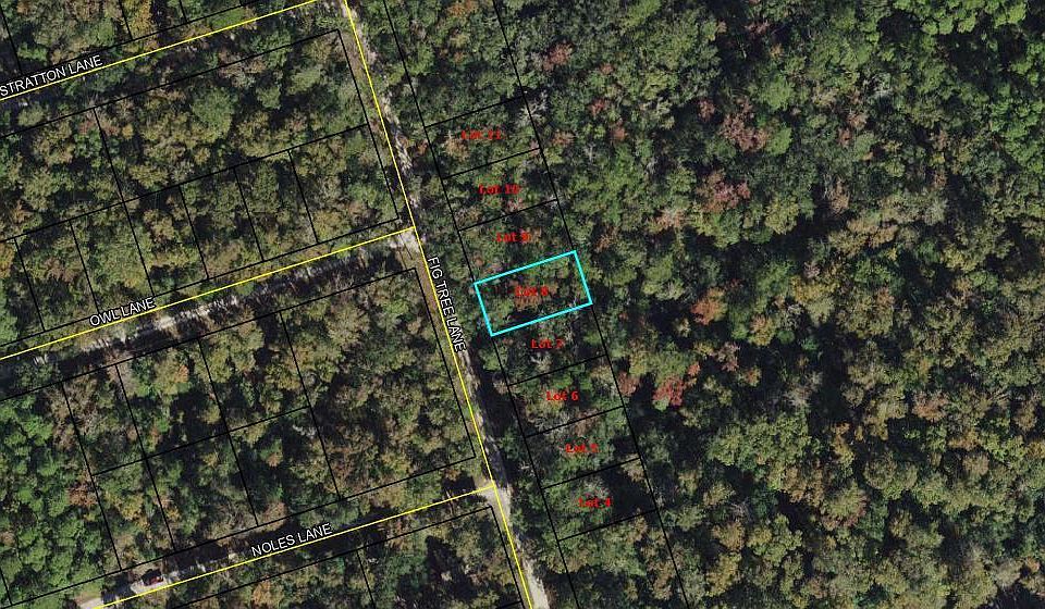 1st image of 8 Fig Tree Ln