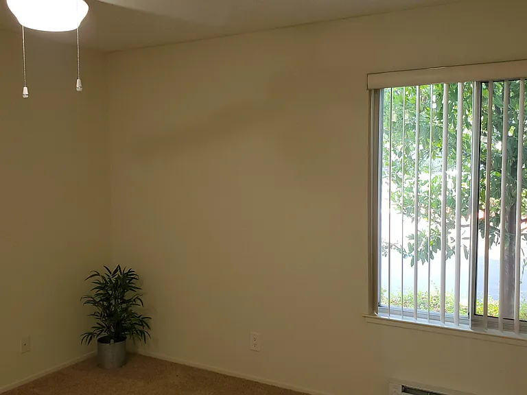 Live Oak Apartments — Photo 167