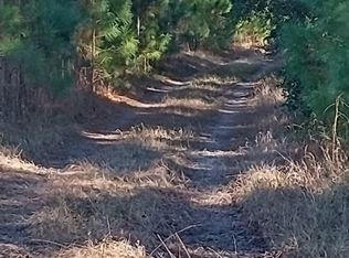 0 State Highway 176, Santee, SC 29142