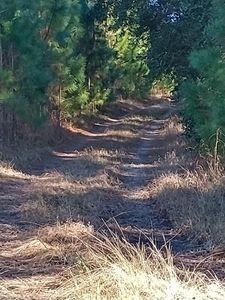 0 State Highway 176, Santee, SC, 29142