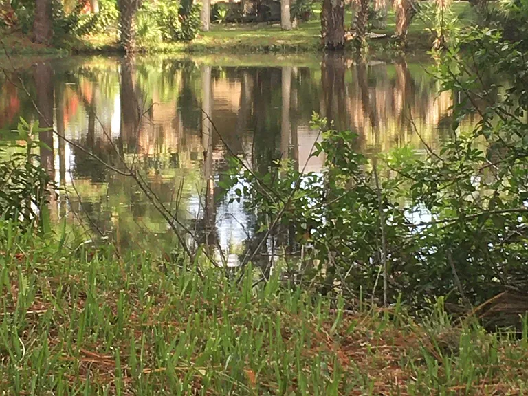 If you want to take a walk - you will see a local lake and mushrooms grow. 9 min of walk to the beach.