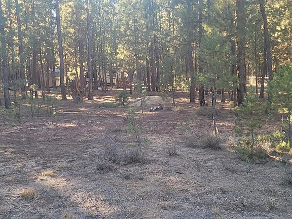 4th image of 52117 Foxtail Rd