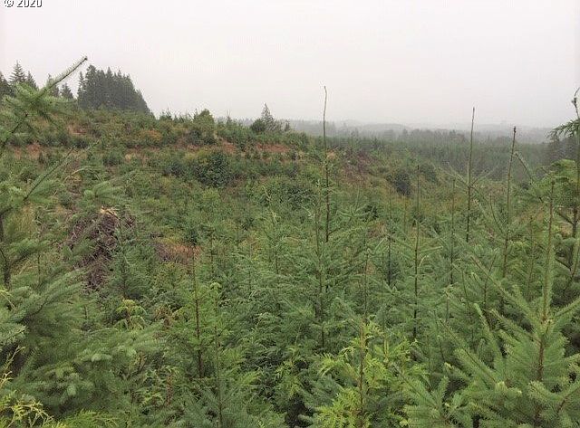 1st image of NW Ridge Rd