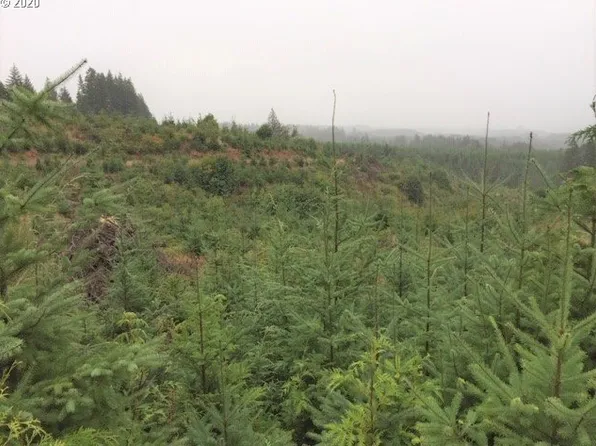 NW Ridge Rd, Forest Grove, OR 97116