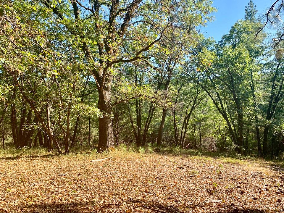 1st image of 13069 Eaglepine Pl