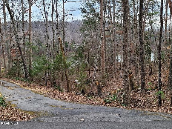3rd image of 0 Laurel Lake Cir #118