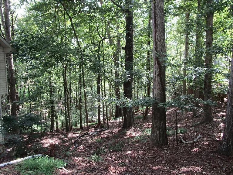 2429 Thompson Mill Rd — Photo 49