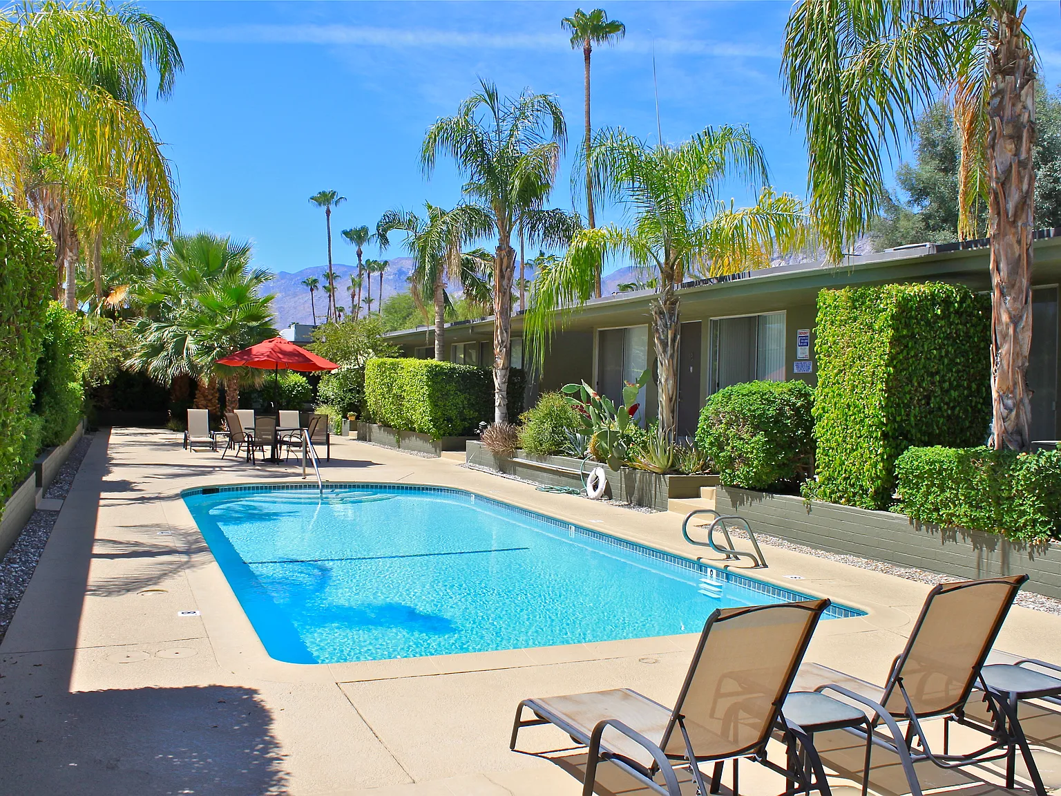 1 bed, 815 sqft, $1,600 — Photo 3