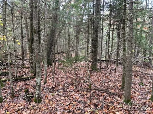 Lime Kiln Road #12, Haverhill, NH 03774