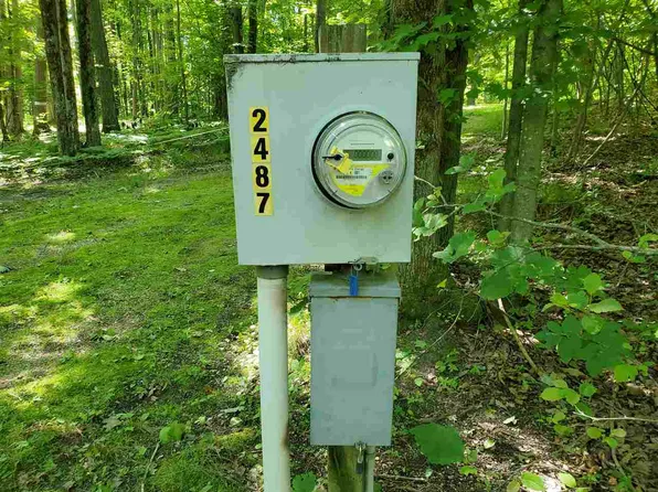 2487 Spruce Hill Dr, Farwell, MI 48622