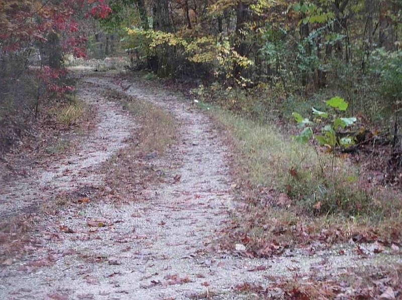 2nd image of 4437 Deer Run