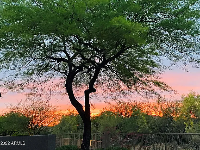 7020 E Mighty Saguaro Way — Photo 47