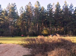 436 John Perry McMichael Rd, Waynesboro, MS 39367