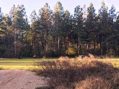 436 John Perry McMichael Rd, Waynesboro, MS, 39367