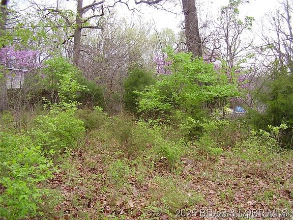 5th image of 1037 Estate Rd
