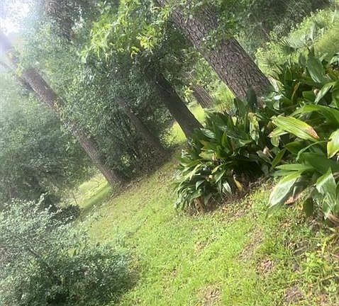 5th image of 13534 Lakecrest Drive