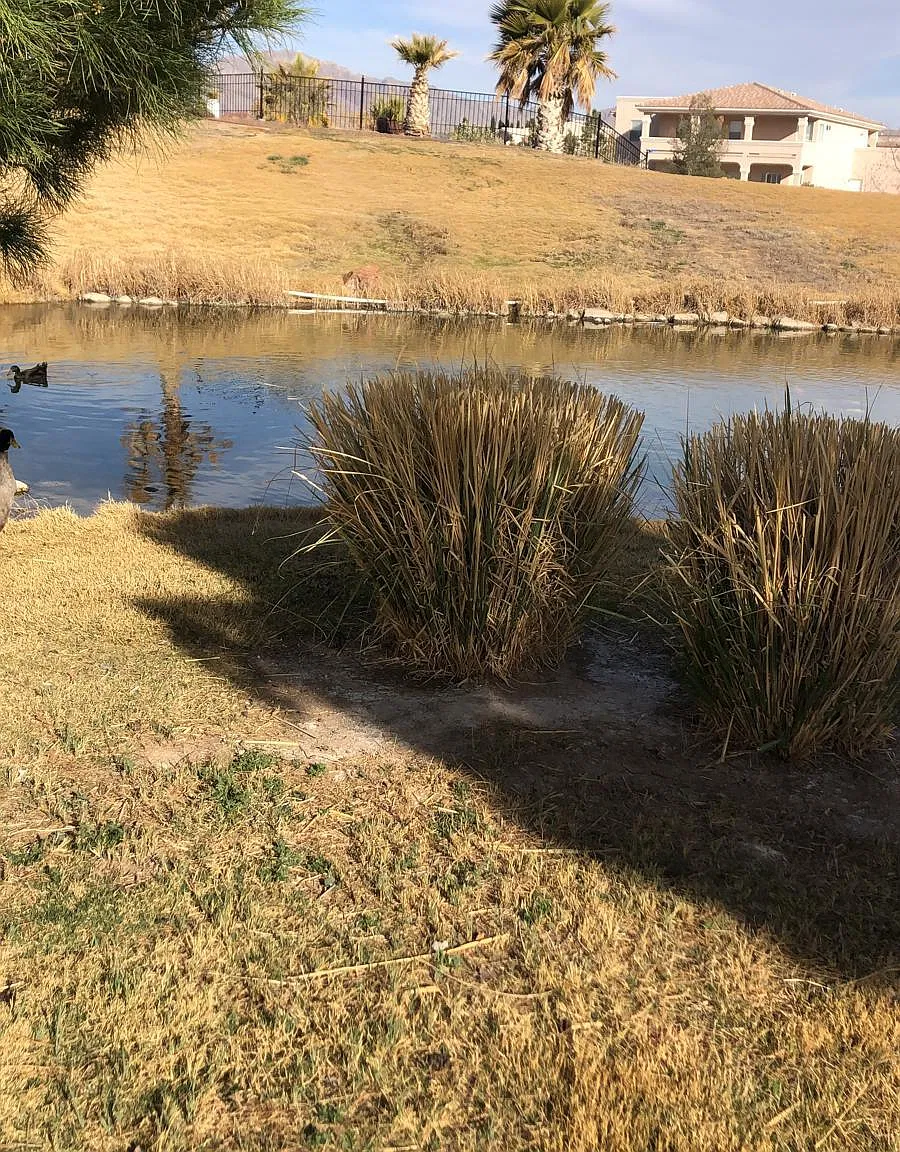 720 Al Smith Ln — Photo 2