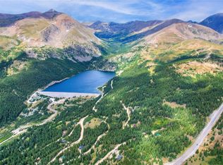 38 Jackson Rd, Alma, CO 80420