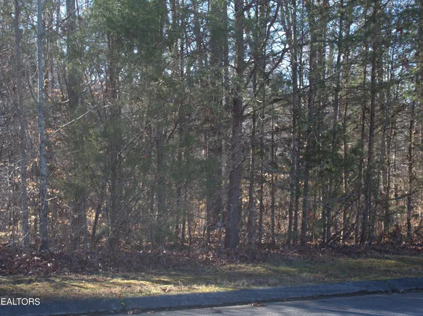 194 Elm St, Decatur, TN 37322