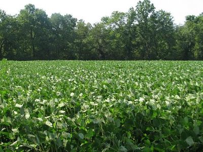 0 Plunk Town Rd, Montross, VA, 22520