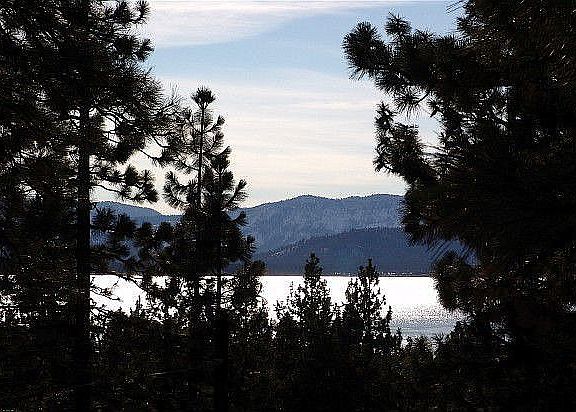 late afternoon views: the lake, mountains & pines