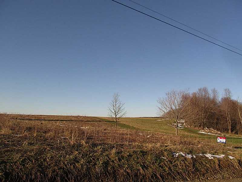 2nd image of Wilson Rd