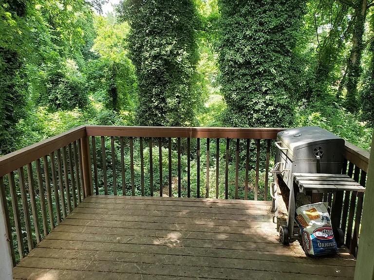Back deck looking over three acre greenspace