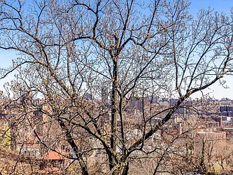 Sold by Re/Max In The City