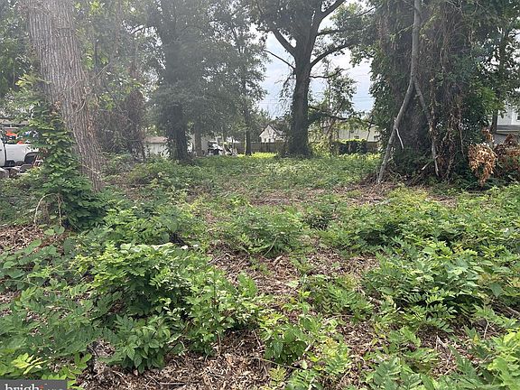 5th image of 7814 Belvedere Dr