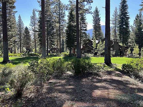 View from back patio