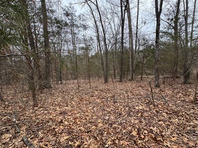 0 Indian Creek Dr Lot 63 & 64, Goreville, IL, 62939